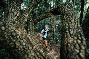 BIB: 
                            <button type="button" onclick="openModal(25392282)" class="btn btn-primary btn-sm float-right btn-popup" data-toggle="modal" data-target=".modal-high-quality">
                        <i class="fas fa-shopping-cart"></i> Add to Cart
                    </button>
                                            <button type="button" onclick="isThisMe(25392282, true)" class="btn btn-success btn-sm float-right btn-popup btn-isme hidden" data-toggle="tooltip" data-placement="bottom" title="นี่คือรูปของคุณใช่ไหม คลิกที่นี่เพื่อเอาเข้าอัลบั้ม">
                        <i class="fas fa-plus"></i> Add to album
                    </button>
                    <button type="button" onclick="isThisMe(25392282, false)" class="btn btn-warning btn-sm float-right btn-popup btn-isnotme hidden">
                        <i class="fas fa-ban"></i> Remove from album
                    </button>